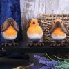 Three Wise Robins 8cm Animals Out Of Stock