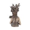 Gaia Bust 26cm History and Mythology Witchcraft and Wiccan Product Guide