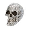 Priceless Grin 16cm Skulls Sale Items