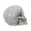 Priceless Grin 16cm Skulls Sale Items