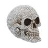 Priceless Grin 16cm Skulls Sale Items