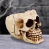 Lobo 14.5cm Skulls Gifts Under £100