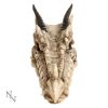 Draco Skull Incense Holder 24cm - 4