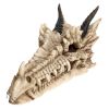 Draco Skull Incense Holder 24cm - 0