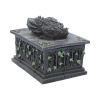 Dragon Tarot Card Box 18cm Dragons Out Of Stock