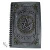 Ivy Book Of Shadows (22cm) - 1