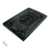 Ivy Book Of Shadows (22cm) - 0