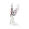 Spirit Guide (AS) 24cm Angels Christmas Gift Guide Figurines