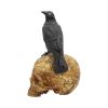 Salems Familiar 27cm Skulls Gifts Under £100