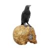 Salems Familiar 27cm Skulls Gifts Under £100