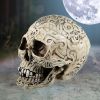 Celtic Skull Box 20cm - 1