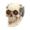 Clockwork Cranium 15cm Skulls Sale Items