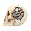 Clockwork Cranium 15cm Skulls Sale Items