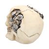 Clockwork Cranium 15cm Skulls Sale Items