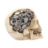 Clockwork Cranium 15cm Skulls Sale Items