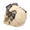 Goggles 15cm Skulls Sale Items