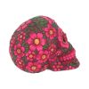 Sugar Blossom Skull 14.5cm Skulls Out Of Stock