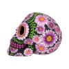 Sugar Petal Skull 14.5cm Skulls Out Of Stock