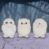 Three Wise Owls 8cm Owls Out Of Stock