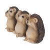 Three Wise Hedgehogs 9cm Animals Out Of Stock