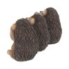 Three Wise Hedgehogs 9cm Animals Out Of Stock