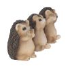 Three Wise Hedgehogs 9cm Animals Out Of Stock