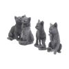 Lucky Black Cats 9cm (Display of 24) - 1