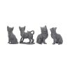 Lucky Black Cats 9cm (Display of 24) - 3