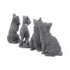 Lucky Black Cats 9cm (Display of 24) - 4