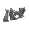 Lucky Black Cats 9cm (Display of 24) - 5