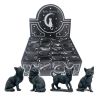 Lucky Black Cats 9cm (Display of 24) - 0