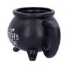 Witch's Brew Mug 13.5cm Witchcraft & Wiccan Halloween Highlights Drinkware