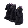 Three Wise Felines 8.5cm Cats Out Of Stock