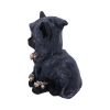 Reapers Feline 16cm Cats Top 200 None Licensed