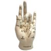 Palmistry 17.7cm - 0