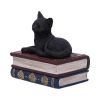 Salems Spells 11.7cm Cats Out Of Stock