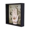 Palmistry Companion 20.2cm Palmistry Summer Sale 2024