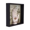 Palmistry Companion 20.2cm Palmistry Summer Sale 2024