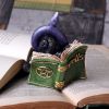 Kitty's Grimoire (Green) 8.2cm Cats Gifts Under £100