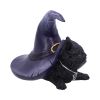 Piper 10.5cm Cats Summer Sale 2024