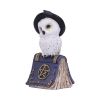 Avian Spell (Blue) 12.5cm Owls Gifts Under £100