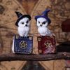 Avian Spell (Blue) 12.5cm Owls Gifts Under £100