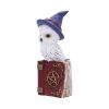 Avian Spell (Red) 12.5cm Owls Gifts Under £100