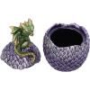 Dragonling Perch Box (Green) 14cm Dragons Sale Items