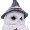 Owl Potion 17.5cm Owls Gifts Under £100