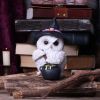 Owl Potion 17.5cm Owls Gifts Under £100