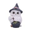 Owl Potion 17.5cm Owls Gifts Under £100