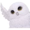 Snowy Delight 20.5cm Owls Gifts Under £100