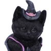 Mischievous Familiar 18.5cm Cats Top 200 None Licensed