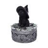 Ivy Familiar Box 15cm Cats Gifts Under £100